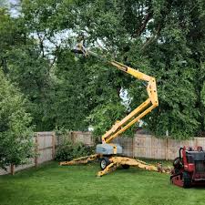Best Lawn Pest Prevention  in Shawneeland, VA