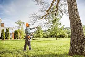 Best Weed Control  in Shawneeland, VA
