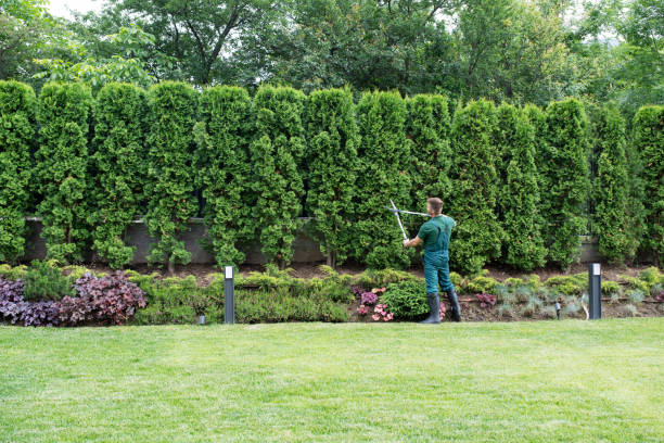 Best Lawn Mowing  in Shawneeland, VA