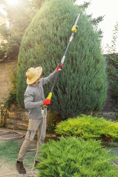 Best Lawn Mowing  in Shawneeland, VA