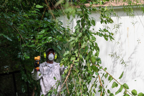 Best Tree Risk Assessment  in Shawneeland, VA